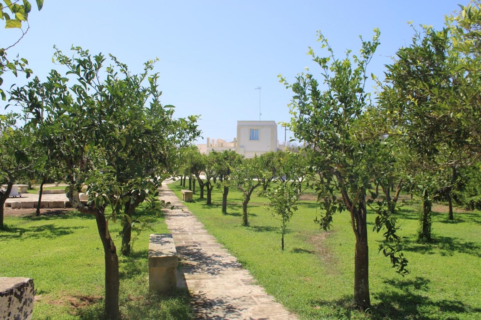 Tenuta Lu Beddhru Melendugno Exterior photo